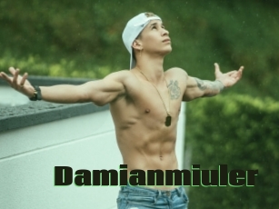 Damianmiuler