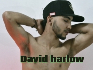 David_harlow