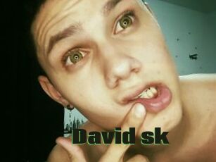 David_sk
