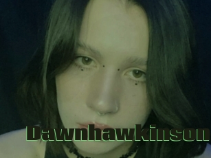 Dawnhawkinson