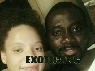 EXOTIGANG