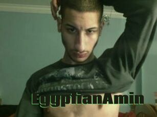 EgyptianAmin
