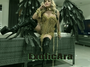 ExoticAra