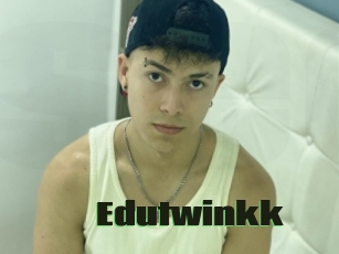 Edutwinkk