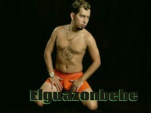 Elguazonbebe