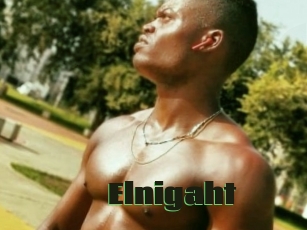 Elnigaht