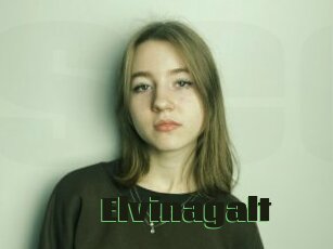 Elvinagalt
