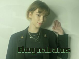 Elwynabarns
