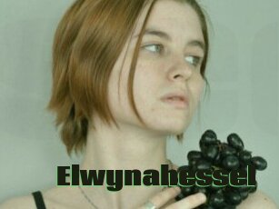 Elwynahessel