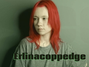 Erlinacoppedge