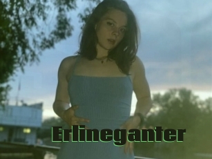 Erlineganter
