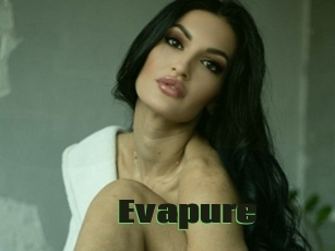 Evapure