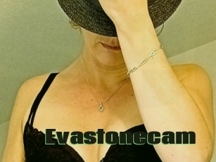 Evastonecam