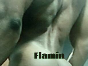 Flamin