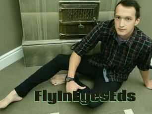 FlyInEyesEds