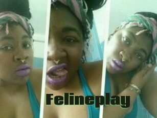 Felineplay