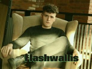 Flashwallis