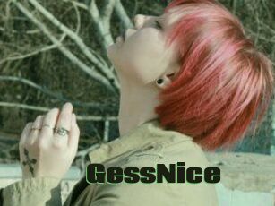 GessNice