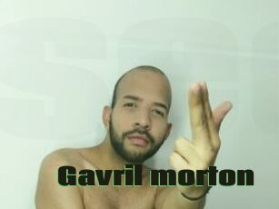 Gavril_morton