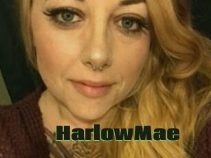 HarlowMae