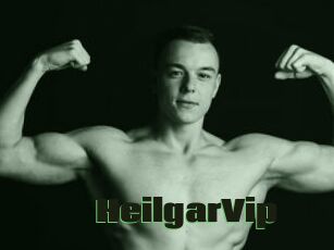 HeilgarVip