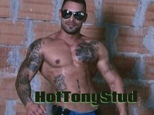 HotTonyStud