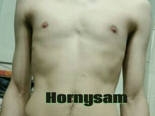 Hornysam