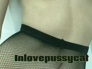 In_love_pussycat