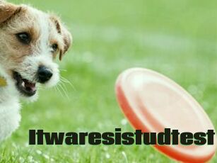 Itwaresistudtest