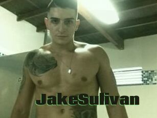 Jake_Sulivan