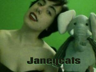 Janeycats