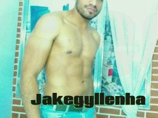 Jakegyllenha