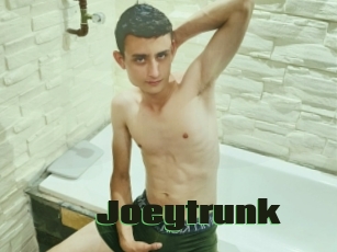 Joeytrunk
