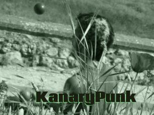 KanaryPunk