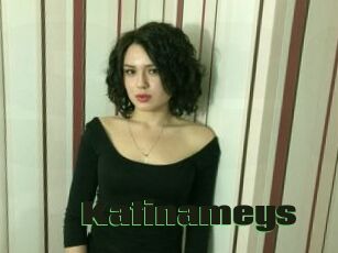 Katinameys