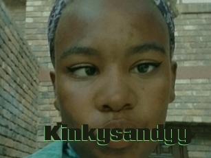 Kinkysandyy