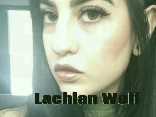 Lachlan_Wolf
