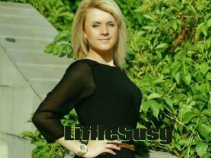 LittleSusy
