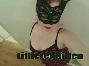 Littleredkitten
