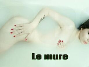 Le_mure