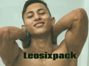 Leosixpack
