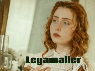 Leyamaller