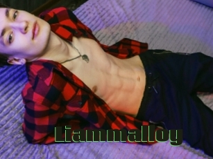 Liammalloy