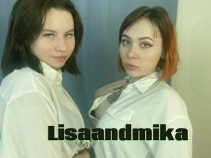 Lisaandmika