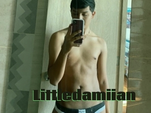 Littledamiian