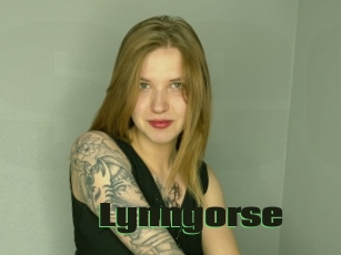 Lynngorse