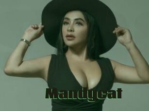 Mandycat