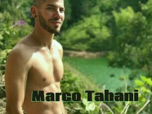 Marco_Tahani