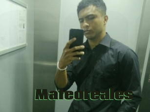 Mateoreales