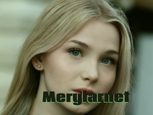 Merylarnet